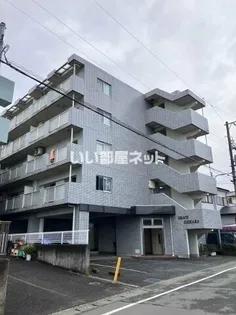 グレイスイセハラ【5階】の外観