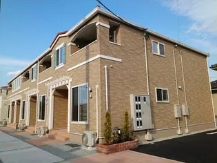 ルピナス1の画像