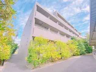 ル シェルの画像