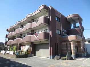 アンドリュースの画像