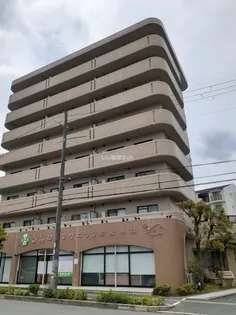 エクセレンシーアイの画像