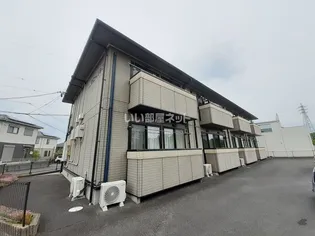 サニーソシアの画像