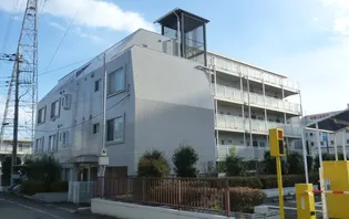 シーキング河辺の画像