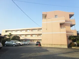 フラットYM2の画像