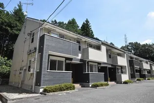 ホワイト プレセアBの画像