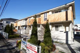 ルーブルの画像