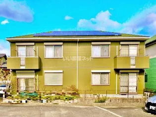 メ ステッソBの画像