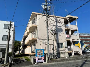 ベルメゾン錦の画像