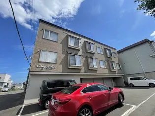 シェモアの画像