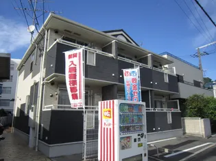 レインボーローズの画像