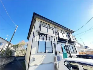 コモド アビターレの画像