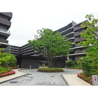 シティテラス八潮の画像