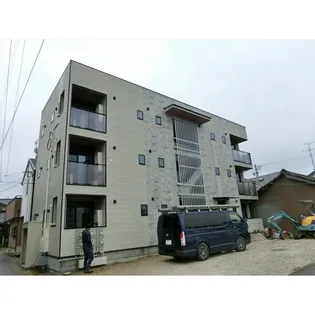 パインニードルの画像