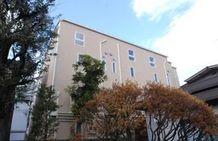 ST IVES渋谷の画像