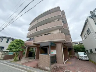 アモールヨシタの画像