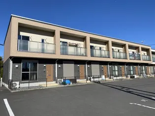 フェニックス麻の画像