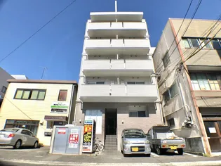 ファインコートの画像