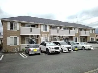 セレーノ蔵子の画像