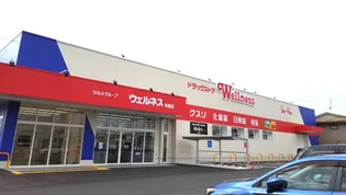 コーポ米原B【1階】の周辺