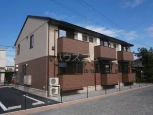 シェモアの画像