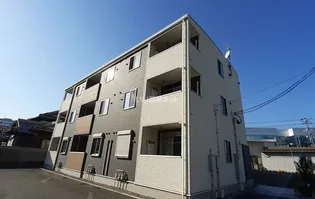 パーシモンの画像