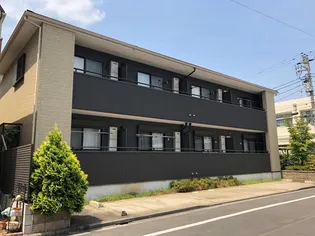 プラナスの画像