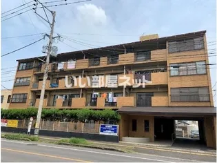 プリーザント マキIIの画像