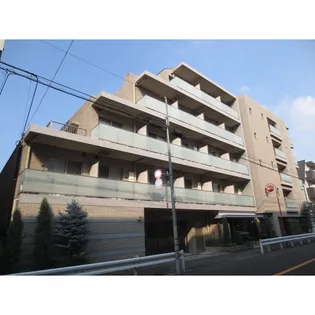 魔法の森の画像