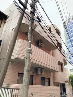 アンチョビの画像