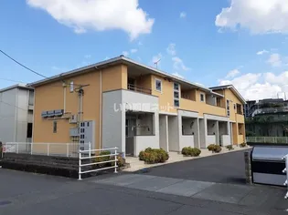 サンライズの画像