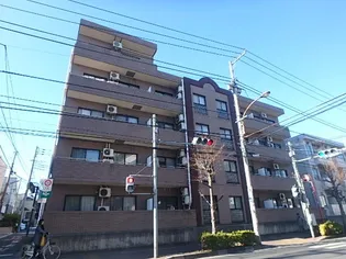 コモド ヴィータの画像