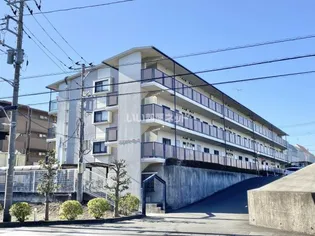 プリマベーラSの画像