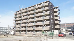 ロイヤル江戸橋【5階】の外観