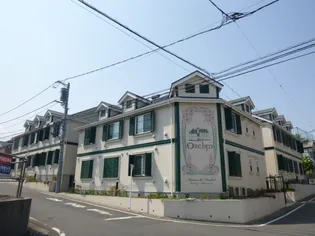 オーキッドの画像
