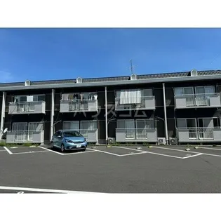 ニューシティ恵の画像