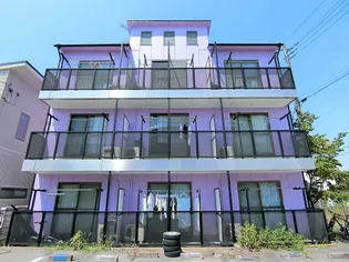 パープルステップBの画像