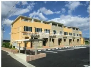 ニュー ガジュマルの画像