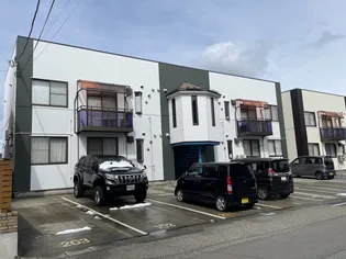 ヒラソールAの画像