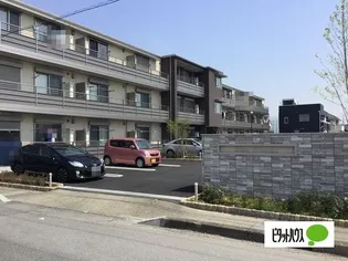 ヴェラ グランディールの画像