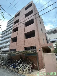 ポプラの樹の画像