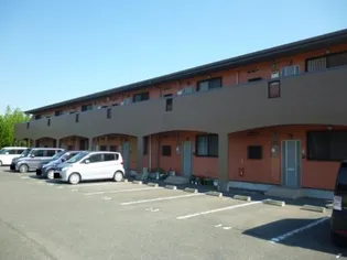 ライスフィールドの画像