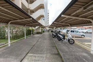 URアーベインルネス白銀の画像