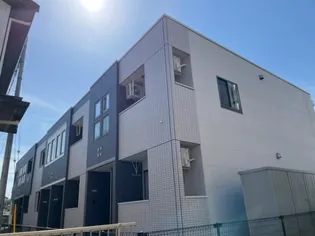 コーンポピーの画像