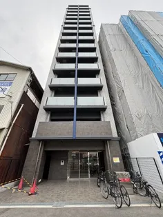 リヴィアスナンバクラスの画像