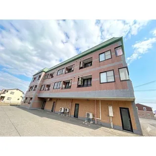 クレッセントタカバタケの画像