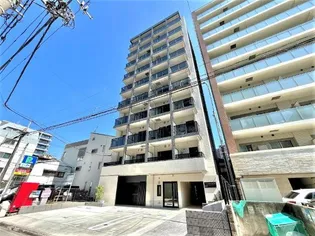 アナベル横濱大通り公園の画像