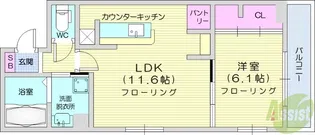 DーROOM すいせん通り【3階】の間取り