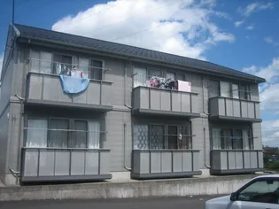 サンクスFの画像