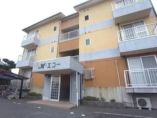 M エコーの画像