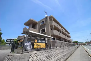 ヴィラ リッコの画像